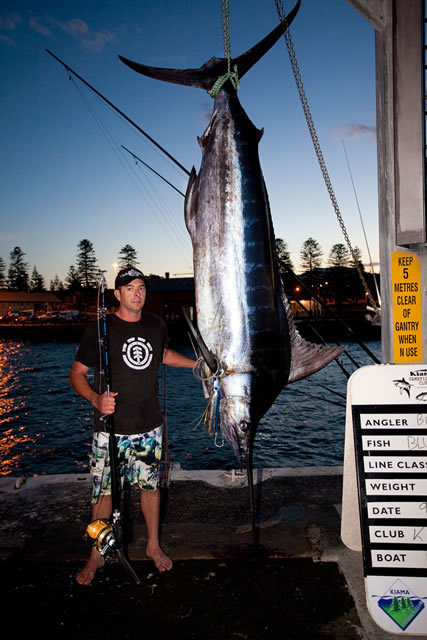 ANGLER: Brad Lindsay  SPECIES: Blue Marlin  WEIGHT: 186 Kg LURE: JB Lures, Chopper